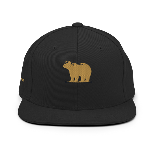 Snapback Hat