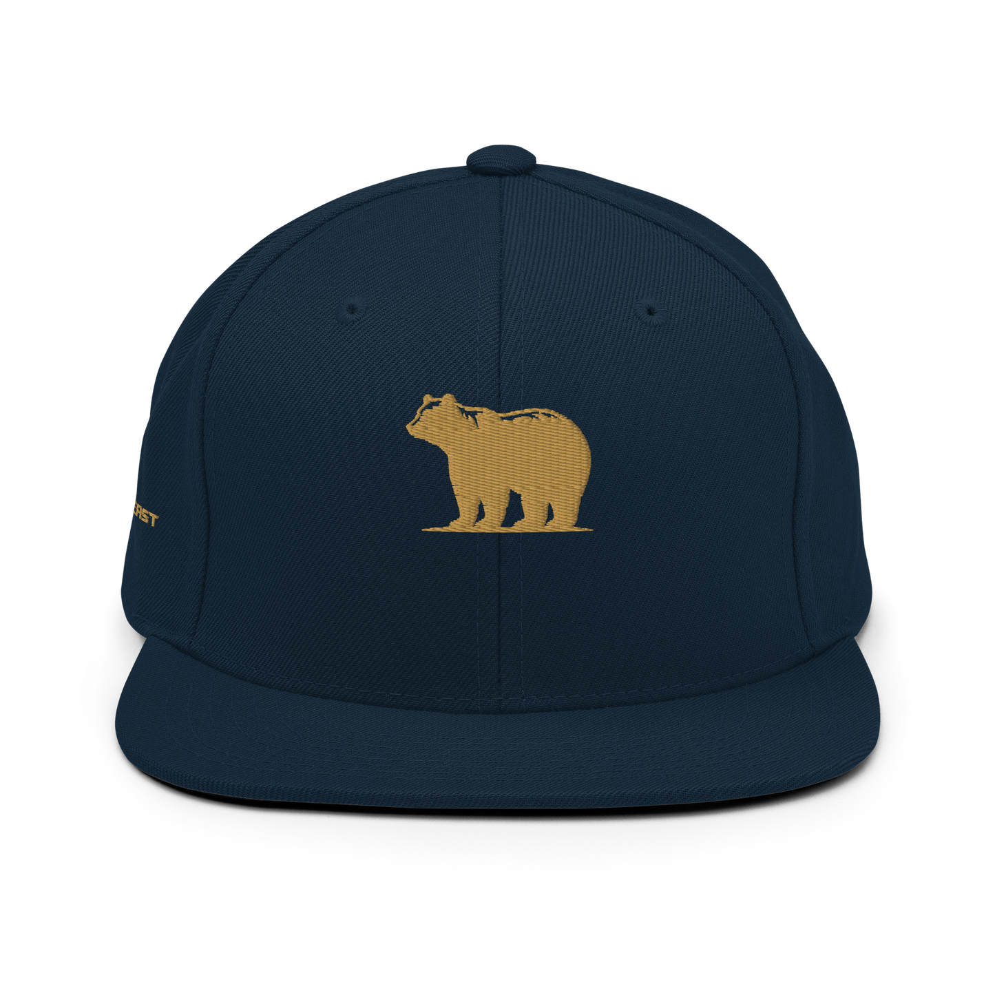 Snapback Hat