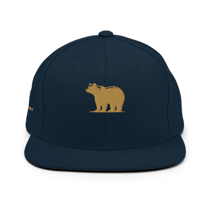 Snapback Hat