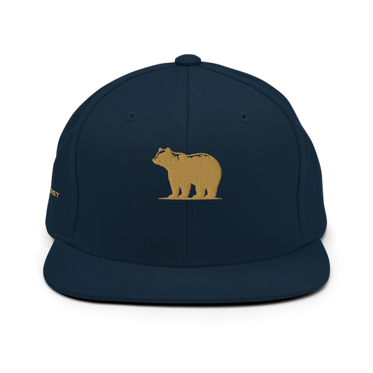 Snapback Hat