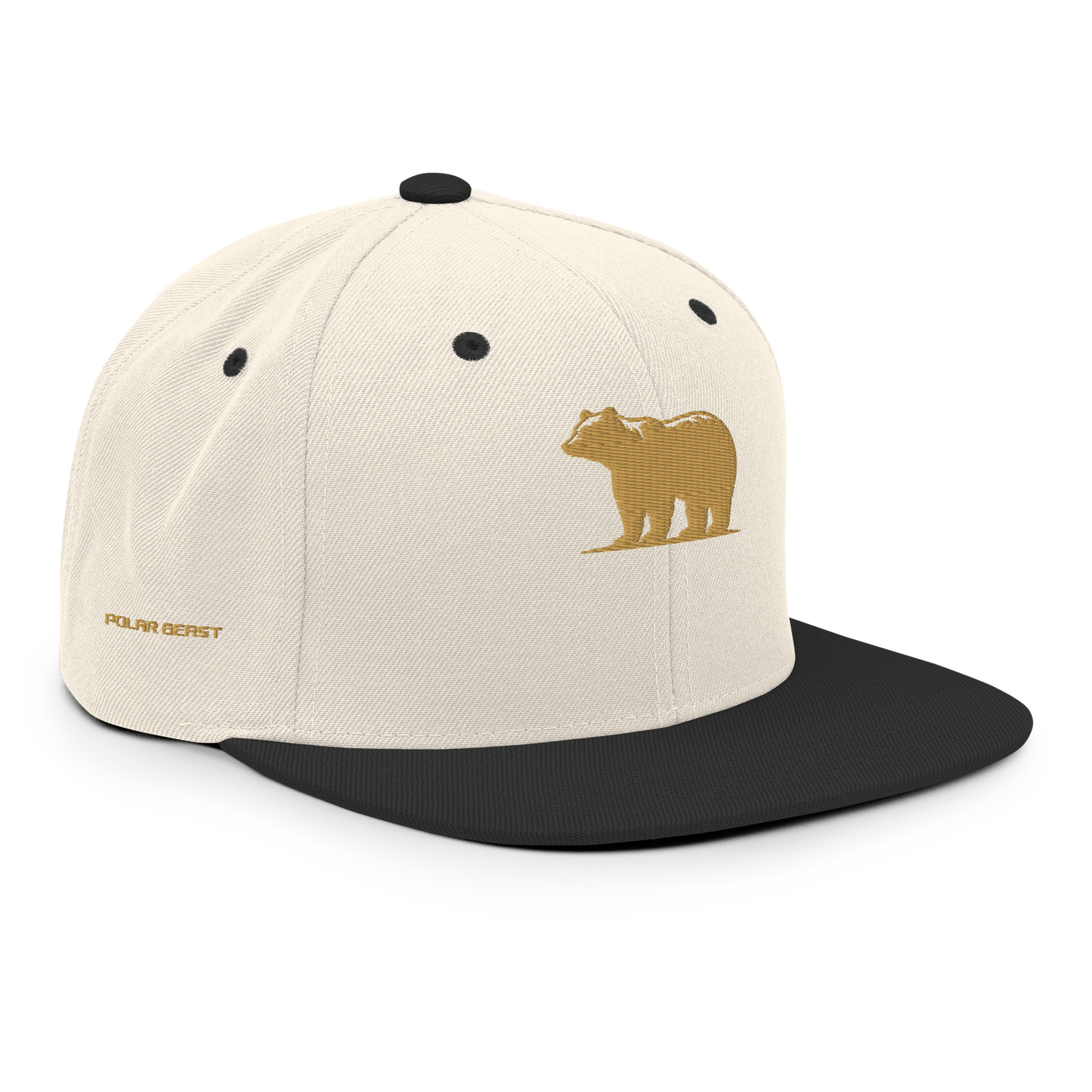 Snapback Hat