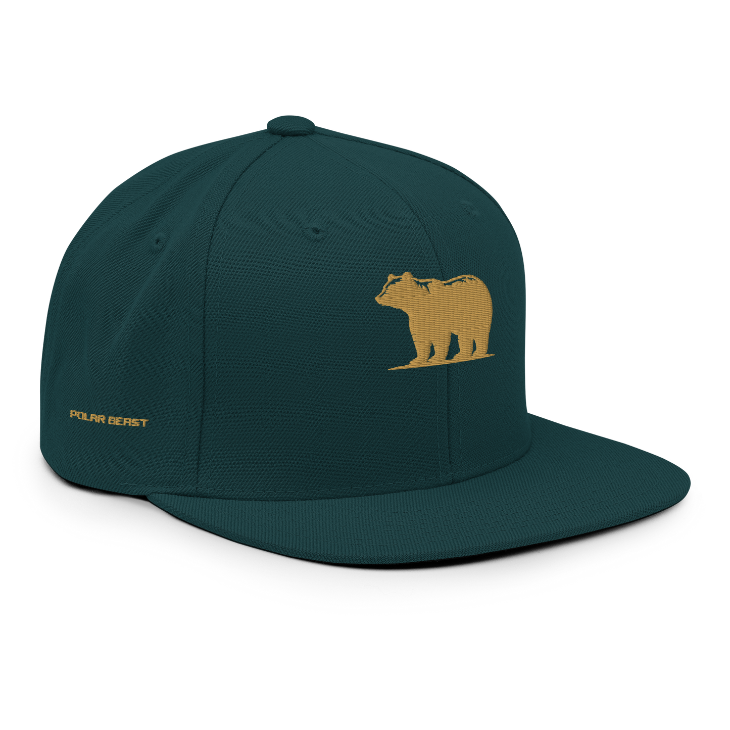 Snapback Hat
