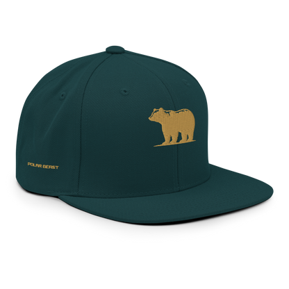 Snapback Hat