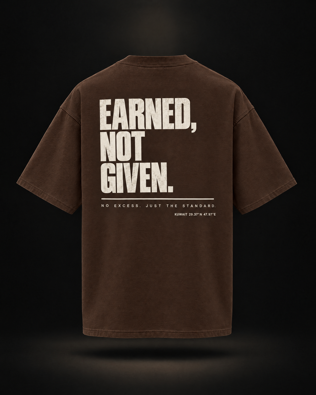 Polar Beast Standard Tee Chocolate - back